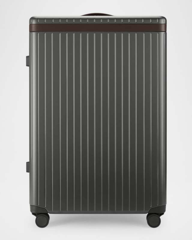 The Large Check-In 31" Hardside Luggage